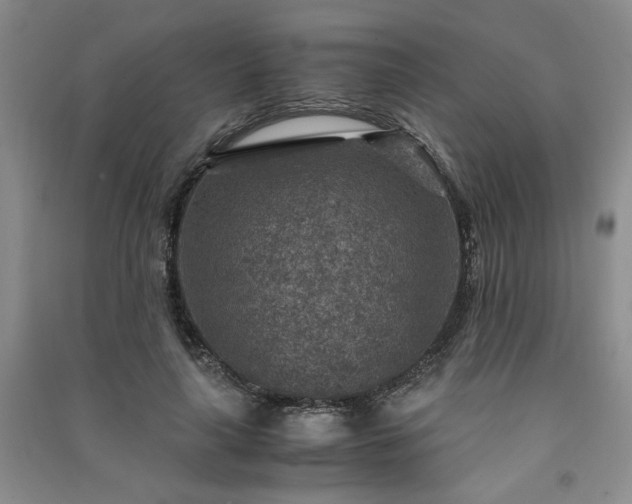 X0000091360643200708171524