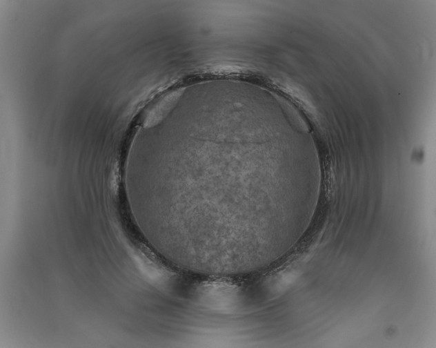 X0000091360644200708171524