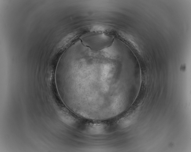 X0000091360645200708171524