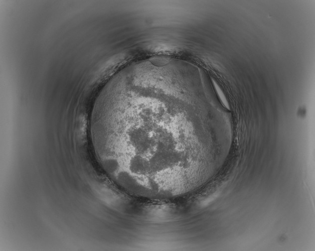 X0000091360646200708171524