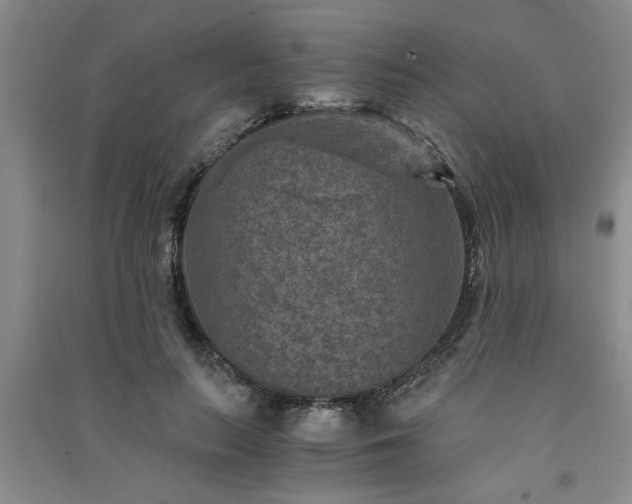 X0000091360647200708171524