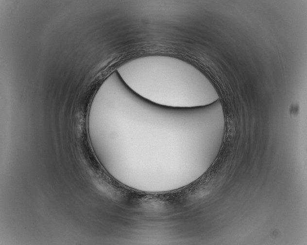 X0000091360648200708171524