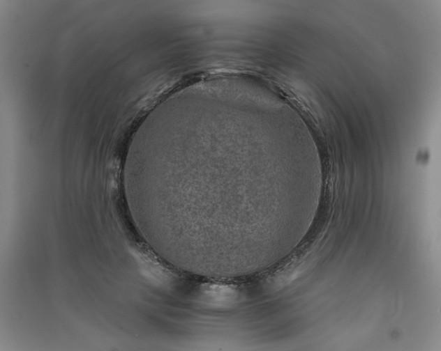 X0000091360649200708171524