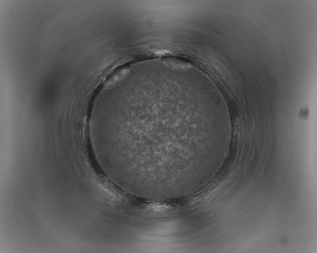 X0000091360650200708171524