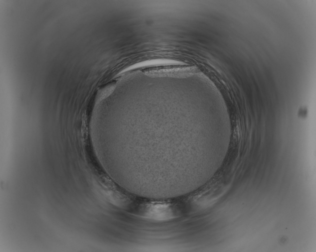 X0000091360651200708171524