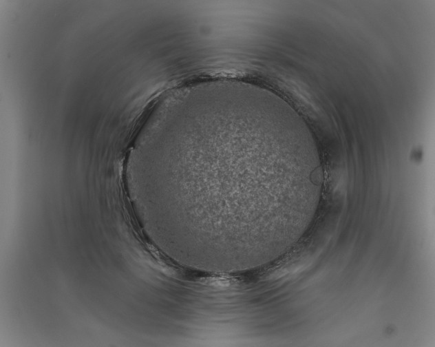 X0000091360652200708171524