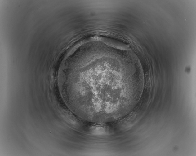 X0000091360655200708171524