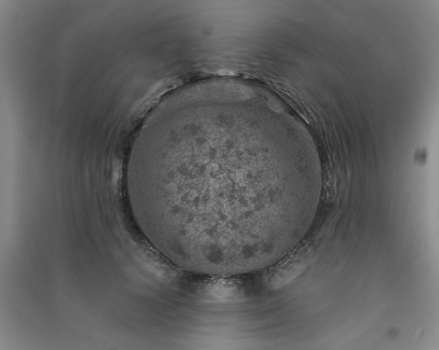 X0000091360656200708171524
