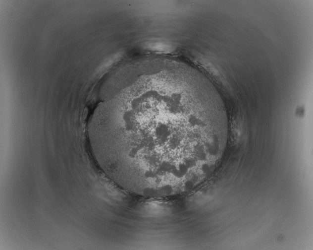 X0000091360657200708171525