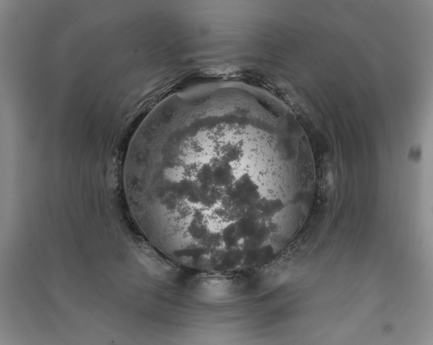 X0000091360658200708171525