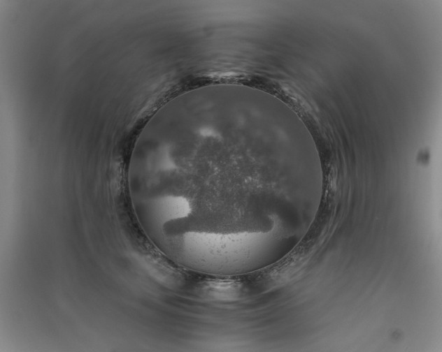 X0000091360659200708171525