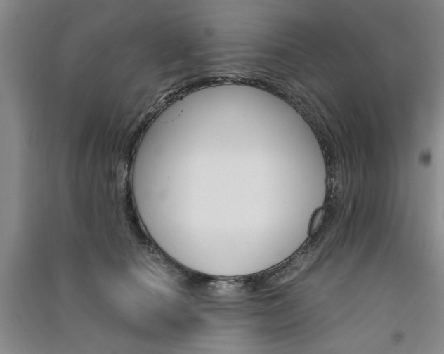 X0000091360660200708171525