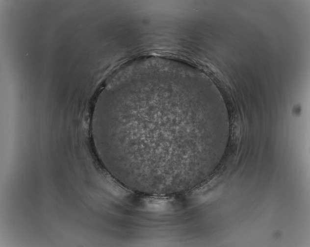 X0000091360661200708171525