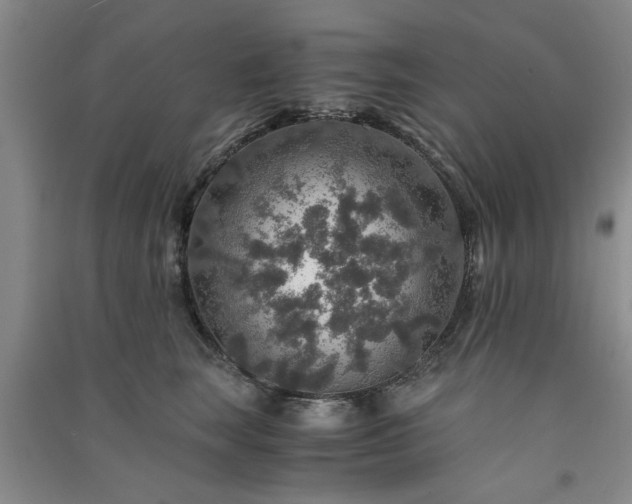 X0000091360663200708171525