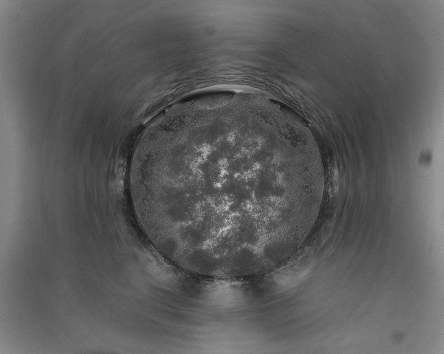 X0000091360664200708171525