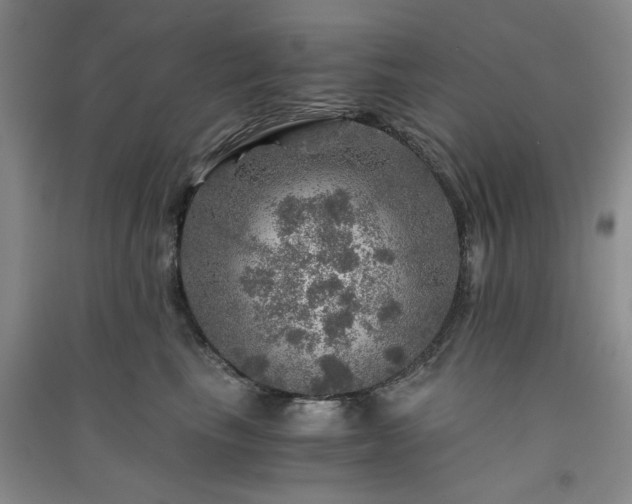 X0000091360665200708171525
