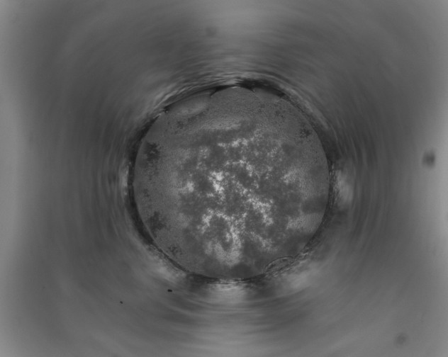 X0000091360668200708171525