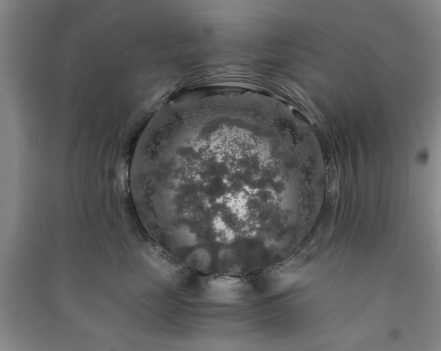 X0000091360669200708171525