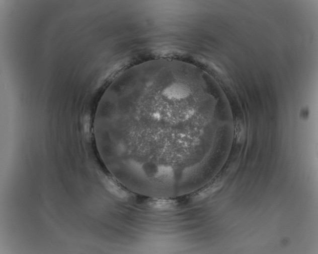 X0000091360670200708171525