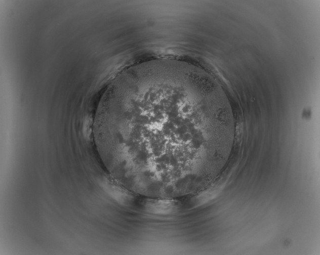 X0000091360671200708171525