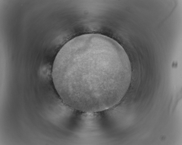 X0000091360672200708171525