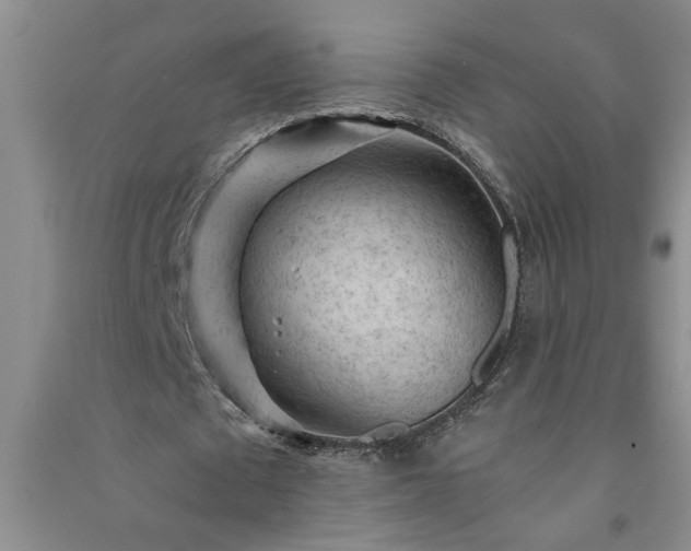 X0000091360673200708171524