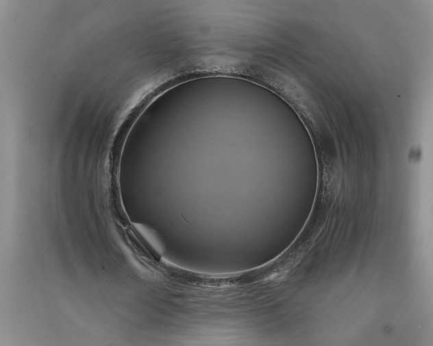 X0000091360674200708171524