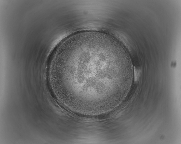X0000091360675200708171524