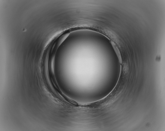 X0000091360676200708171524