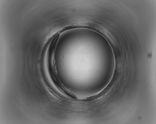 X0000091360677200708171524