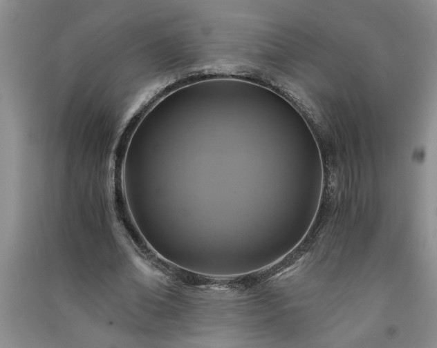 X0000091360678200708171524
