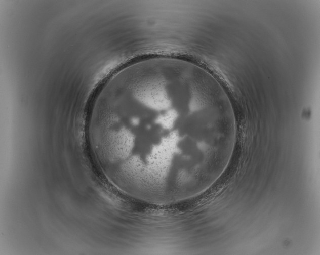 X0000091360679200708171524