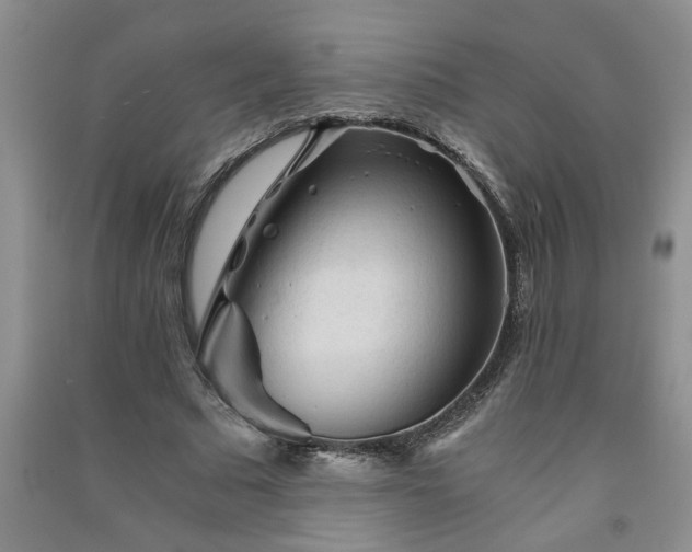 X0000091360681200708171524