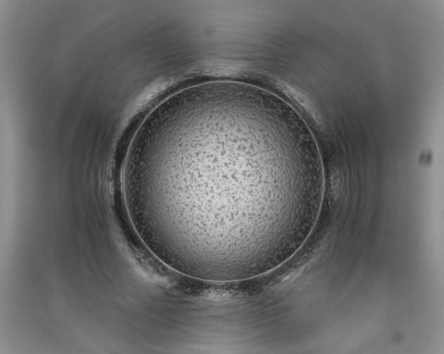 X0000091360682200708171524