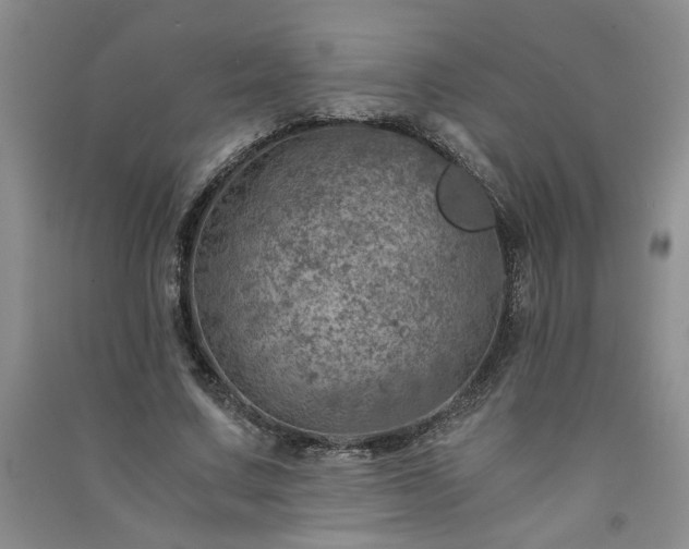 X0000091360683200708171524