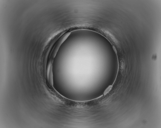 X0000091360684200708171524