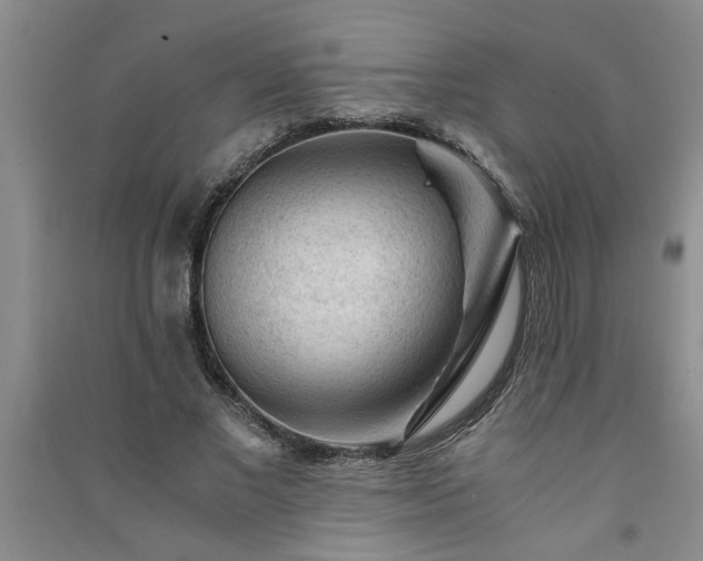 X0000091360685200708171524