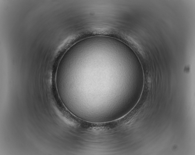 X0000091360686200708171524