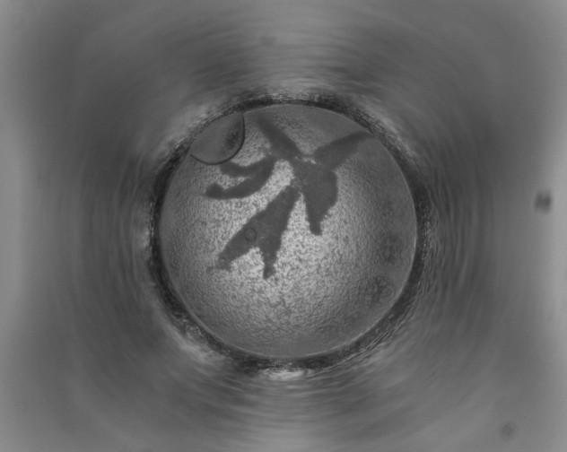 X0000091360687200708171524