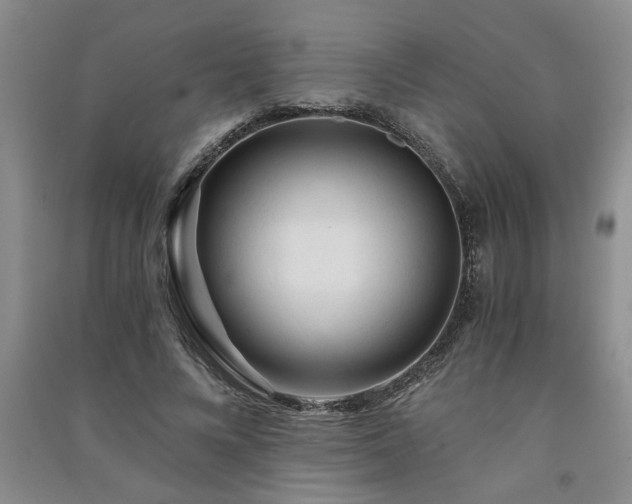 X0000091360688200708171524