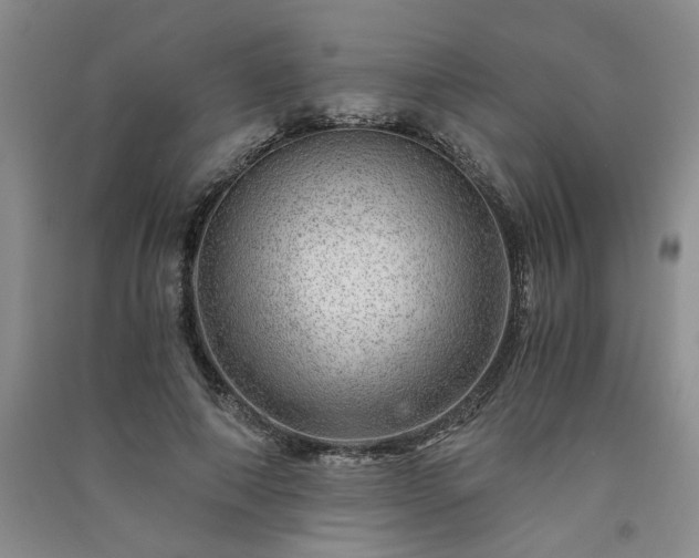 X0000091360690200708171524