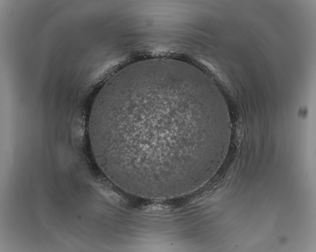 X0000091360691200708171524