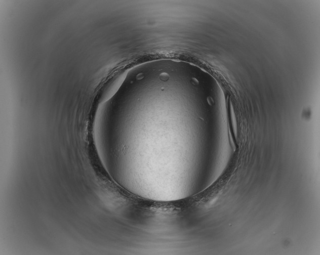 X0000091360693200708171524