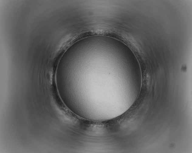 X0000091360694200708171524