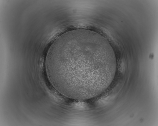 X0000091360695200708171524