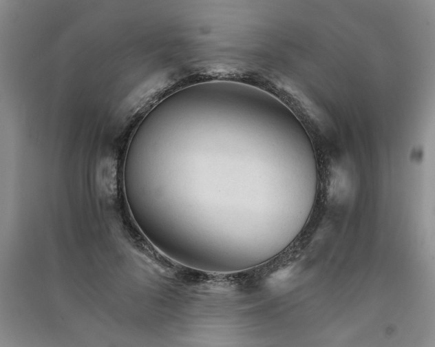 X0000091360696200708171524