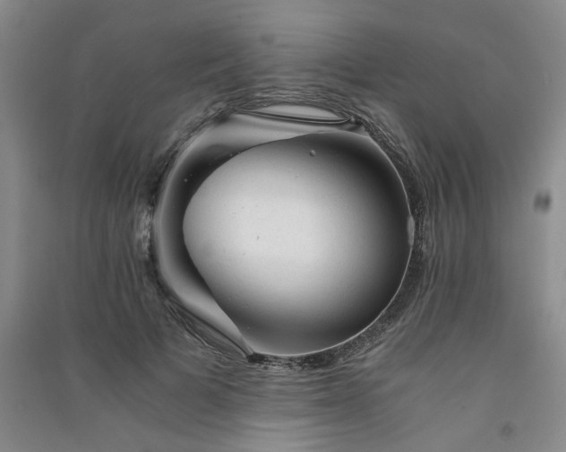 X0000091360697200708171524