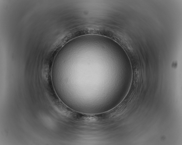 X0000091360698200708171524