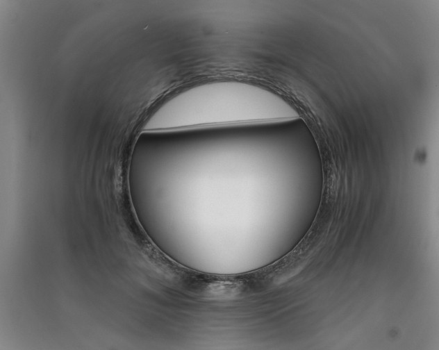 X0000091360700200708171524