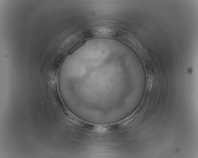 X0000091360701200708171524